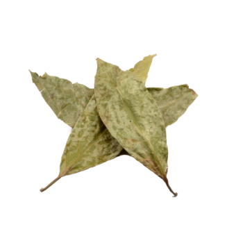 images/productimages/small/chaliponga-leaves.png