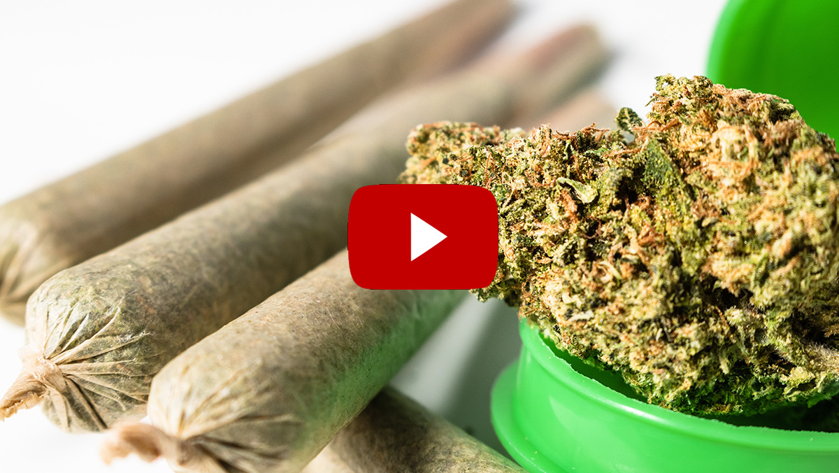 cannabis jointjes youtube kanalen