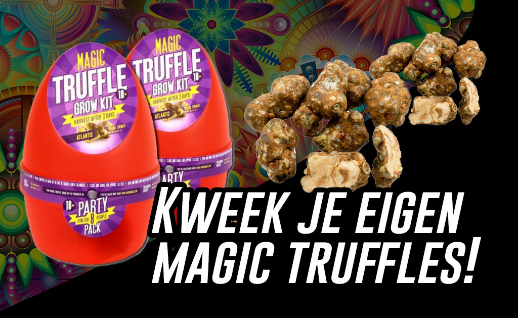 magic truffle growkit
