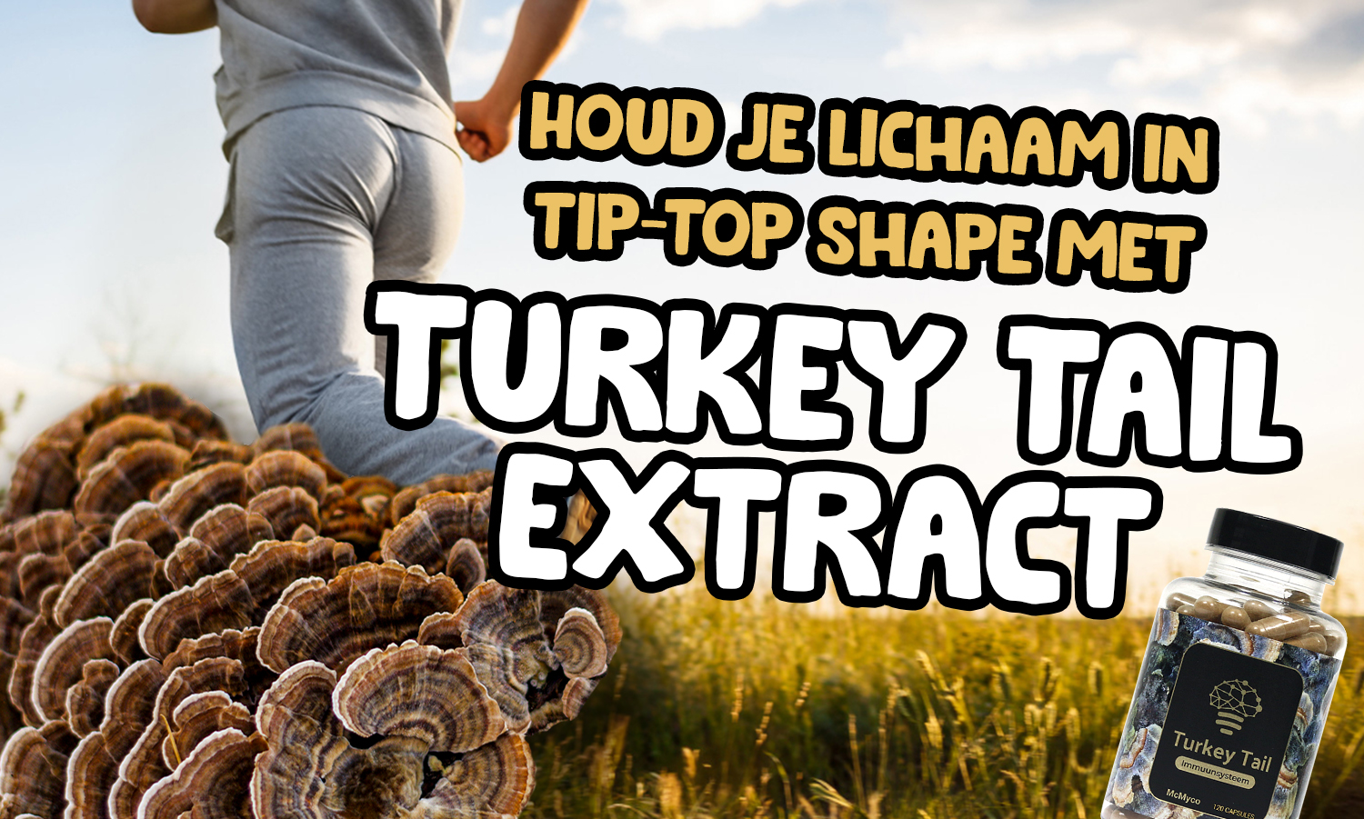 Verbeter je gezondheid met de krachten van Turkey Tail