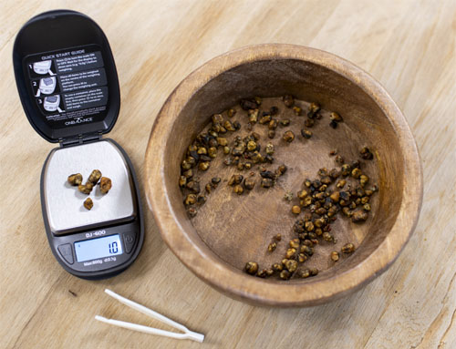 Microdosering truffels afgewogen op precisieweegschaal, verkoopdata-analyse Nederlandse truffelmarkt 2023-2025