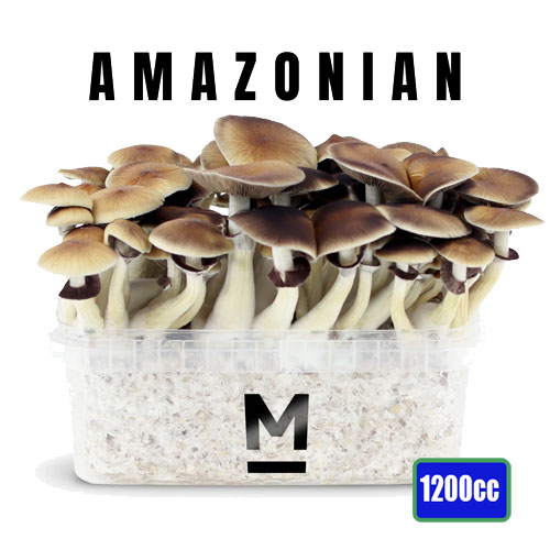 PES Amazonian - 1200cc Mushroom Grow Kit