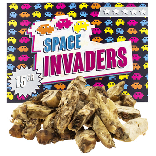 Space Invaders© Magic Truffles