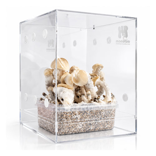 Monotub Growing Box for Magic Mushroom Grow Kits