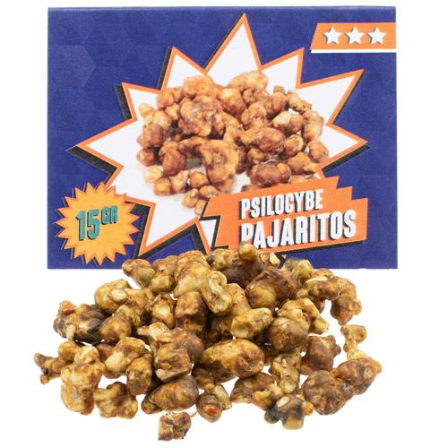 Pajaritos Magic Truffles