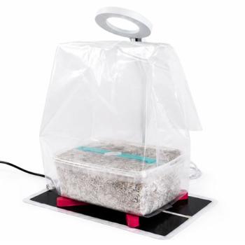 Mondo Kweeklamp voor Paddo kweeksets