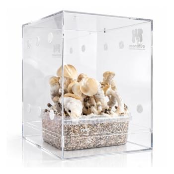 Monotub kweekkast voor Paddo kweeksets