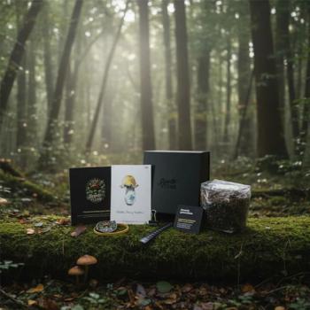 Golden Teacher Growkit – Royale Flush