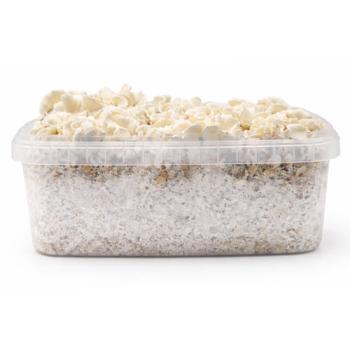 Waikiki Waves - Hybride paddo kweekset